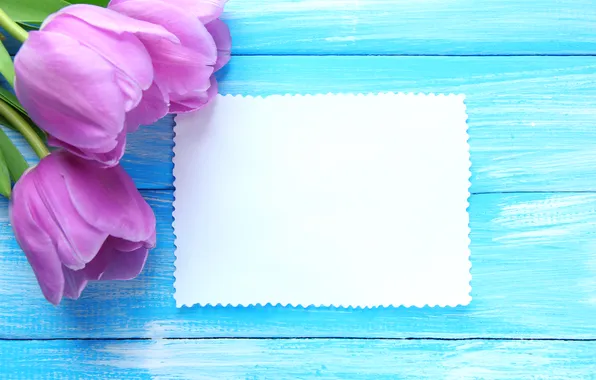 Picture flowers, bouquet, tulips, wood, flowers, tulips, postcard, spring
