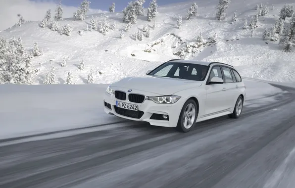 Picture Winter, White, Snow, BMW, The front, Universal, 320d