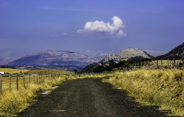 Road, the sky, grass, clouds, mountains, the fence