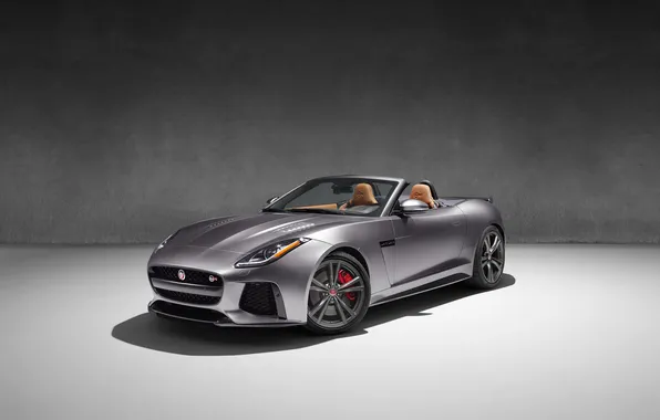 Grey, background, Jaguar, Jaguar, convertible, Convertible, F-Type