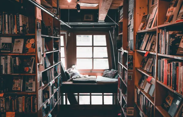 Picture comfort, books, pillow, window, library