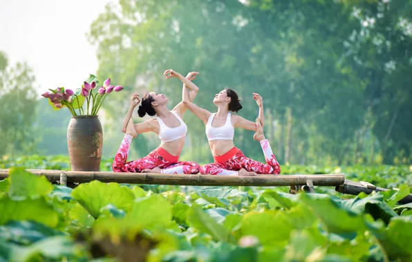 Picture summer, leaves, nature, girls, gymnastics, yoga, Asian girls