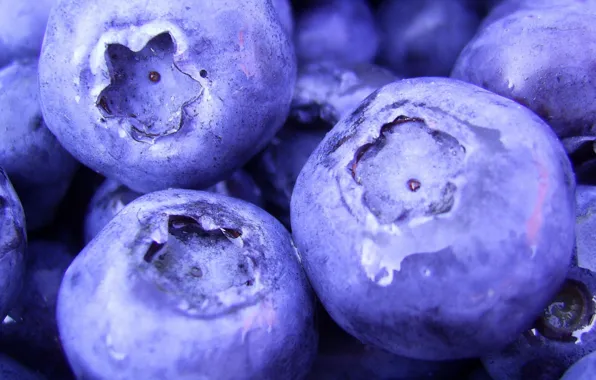 Macro, berries, food, blueberries, food, macro, 1920x1080, blueberry