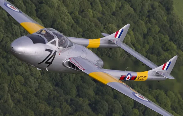 Fighter, Vampire, RAF, De Havilland Vampire, Combat training, de Havilland Aircraft Company, De Havilland DH-115 …