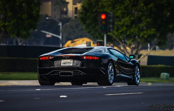 Lamborghini, wallpaper, Lamborghini Aventador LP 700-4