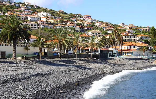 Sea, stones, palm trees, coast, island, home, slope, Portugal