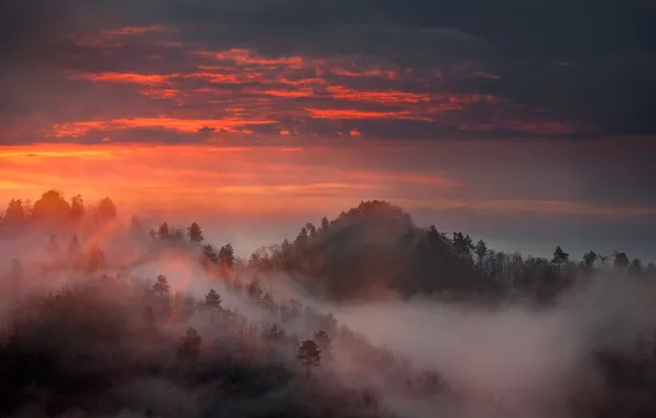 Picture forest, the sky, clouds, trees, landscape, sunset, mountains, nature