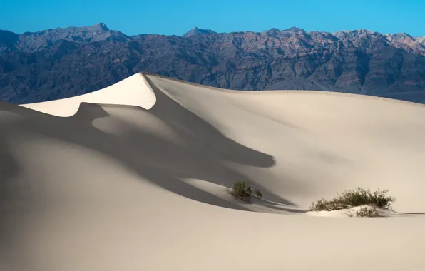 Mountains, the dunes, desert