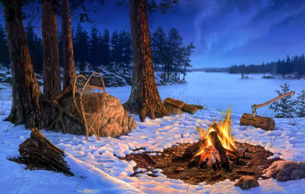 Winter, forest, snow, trees, landscape, night, traces, nature