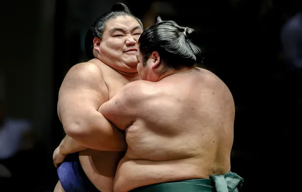 Sport, fight, sumo