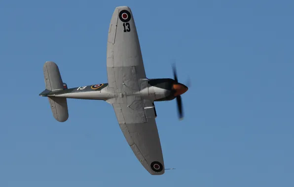Airplane, aviation, Hawker Sea Fury
