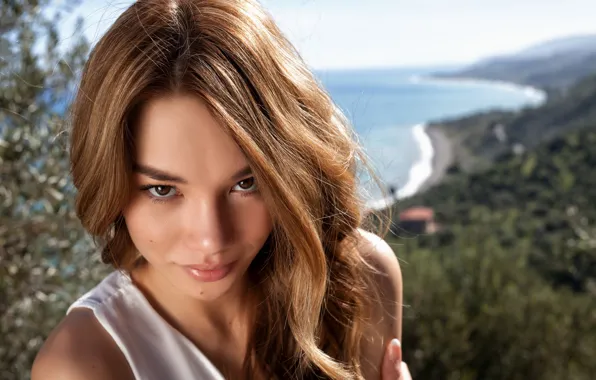 Forest, trees, bokeh, white top, close up, cliffs, blurred background, overlook