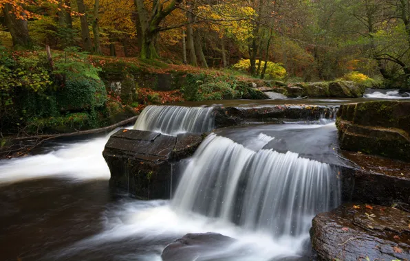 Picture autumn, forest, leaves, trees, Park, stream, stones, waterfall