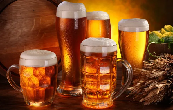 Glass, foam, drops, light, beer, glasses, alcohol, ears