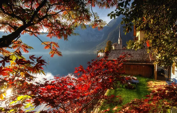 Autumn, trees, nature, lake, paint, Austria, Hallstatt