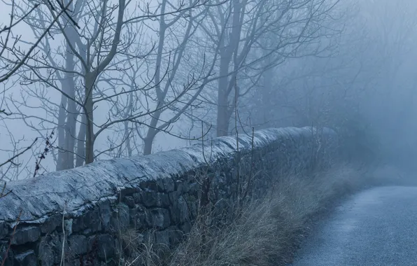 Road, fog, morning, stone wall