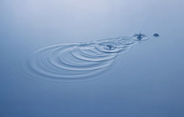 Drops, circles, Water