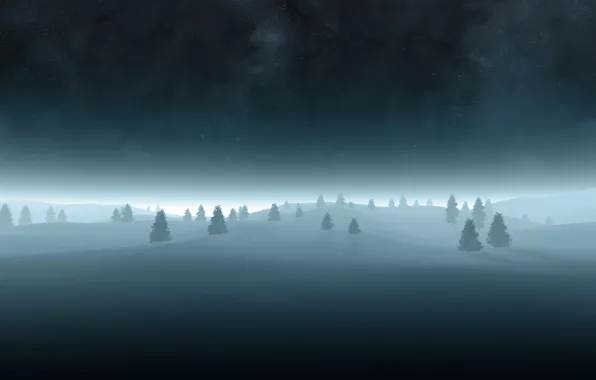 Winter, Night, Trees, Snow