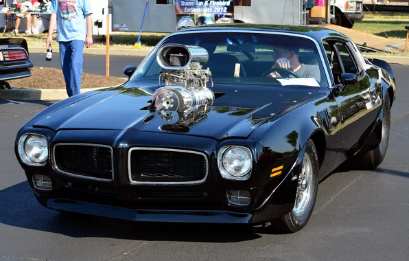 Picture muscle car, Trans Am, 1975 Pontiac Firebird