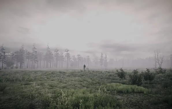 Forest, landscape, the game, people, tractor, 35MM