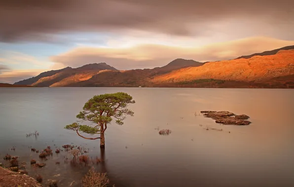 Picture lake, stones, tree, hills