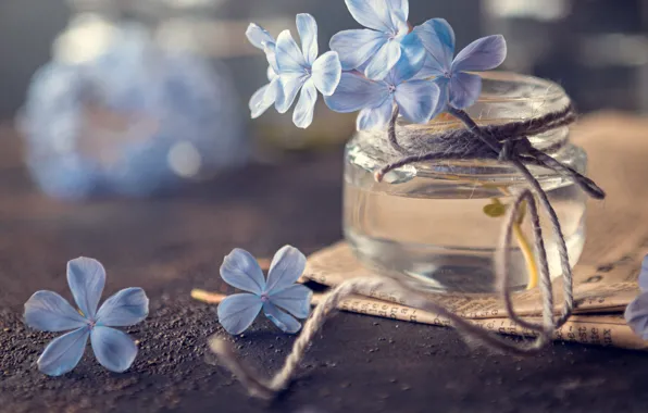 Picture macro, flowers, newspaper, rope, jar