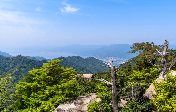 Sea, Mountains, The city, Rocks, Japan, Forest, Bay, Landscape