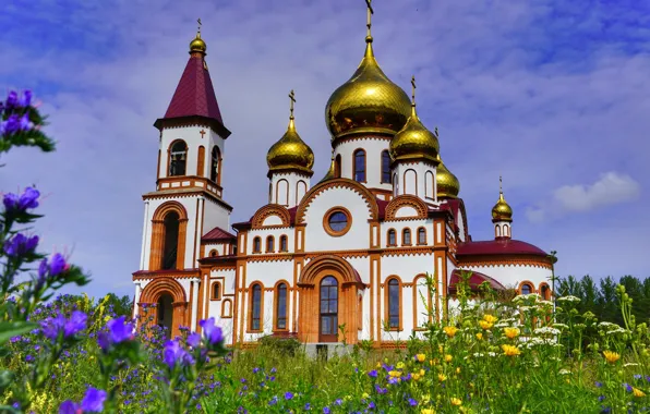 Summer, flowers, Church, Krasnoyarsk