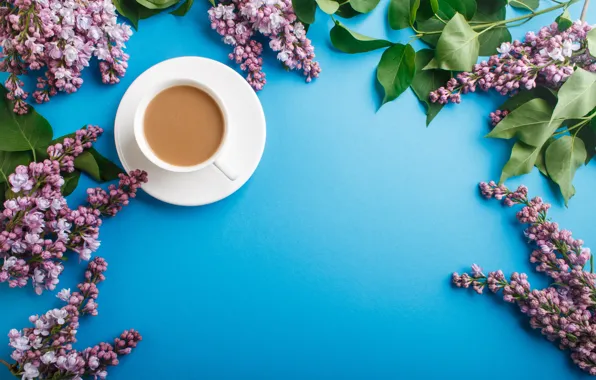 Flowers, pink, flowers, lilac, coffee cup, lilac, a Cup of coffee