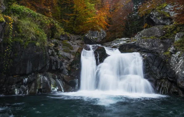 Autumn, forest, trees, stones, rocks, shore, foliage, waterfall