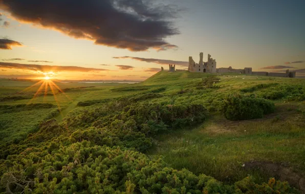 Greens, forest, the sky, the sun, light, castle, dawn, dal