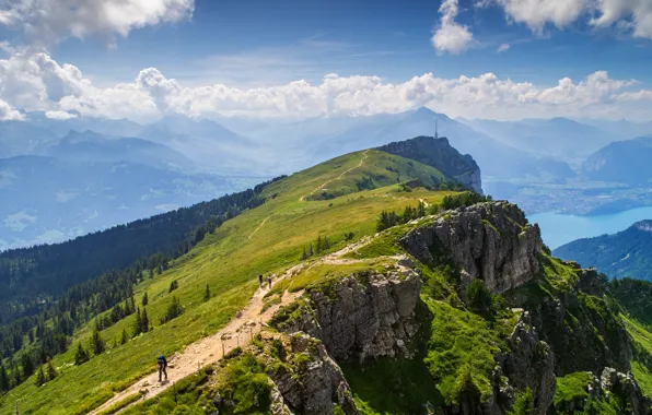 Summer, mountains, nature, lake, Lake Thun, Bernese Alps