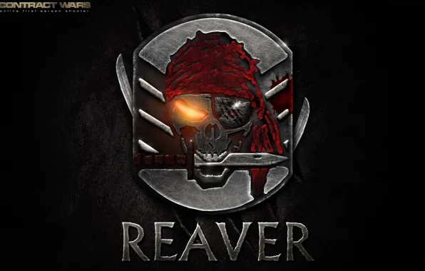 Metal, sake, blood, wall, game, emblem, pirate, symbol