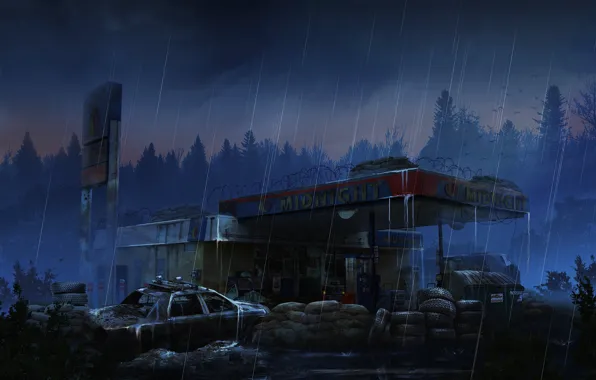 Forest, rain, station, car, Gaz station