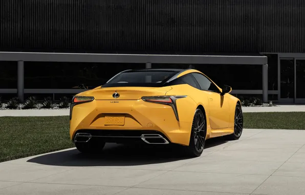 Lexus, rear view, LC 500, 2019, Inspiration Concept