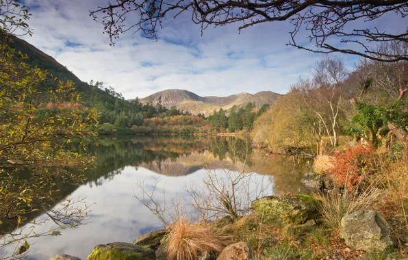 Autumn, the sky, grass, clouds, trees, mountains, lake, stones