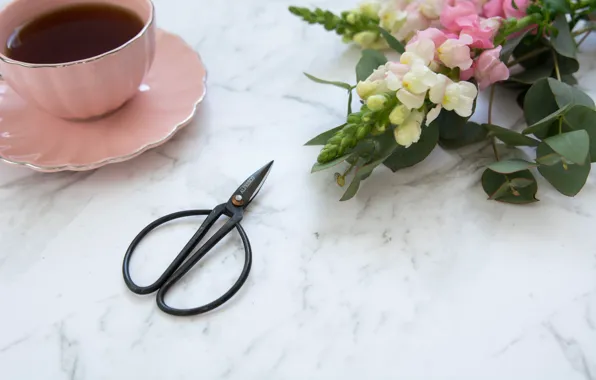 Picture flowers, coffee, Cup, pink, flowers, cup, scissors, coffee