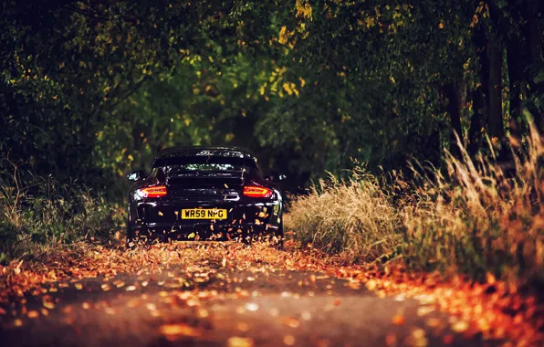 Road, foliage, Porsche, black, GT3