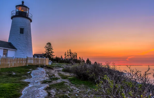 Landscape, dawn, vegetation, lighthouse, morning, USA, Pemaquid Point Lighthouse, Gulf of Maine