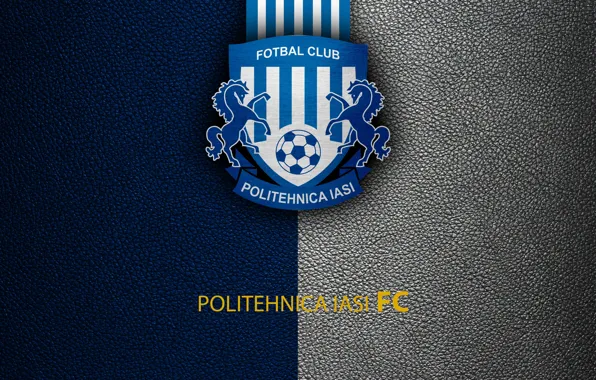 FC Politehnica Iași, Logopedia