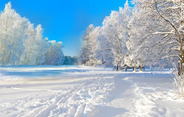 Winter, forest, the sky, snow, landscape, nature, river, ice