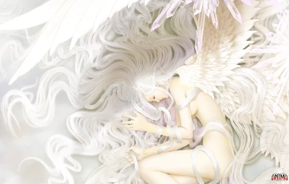 Girl, wings, angel, feathers, art, Wen-M