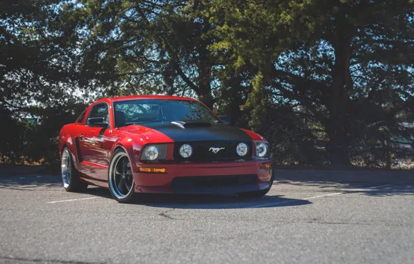 Picture Mustang, Ford, Red, Parking, GT