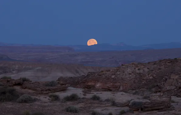 Night, the moon, desert, photographer, canyon, Utah, USA, national Park