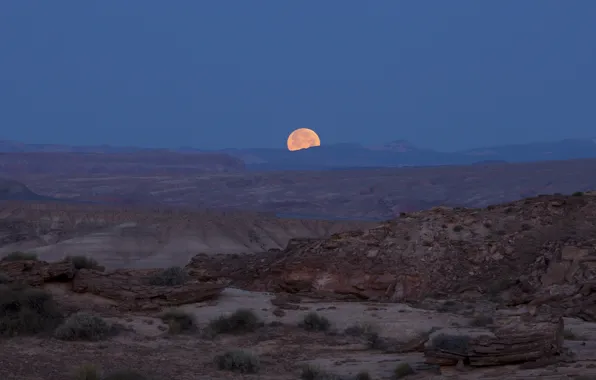 Picture night, the moon, desert, photographer, Utah, USA, national Park, canyons
