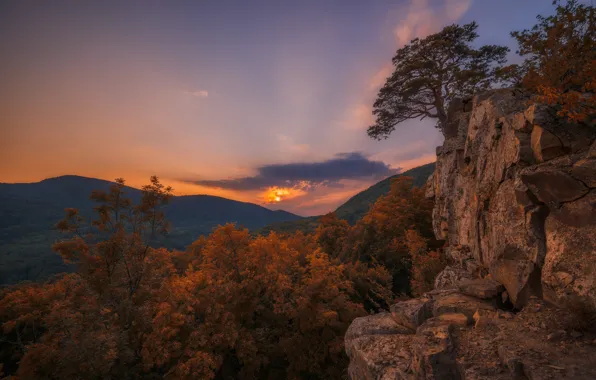 Picture autumn, trees, landscape, sunset, mountains, nature, rocks, the evening