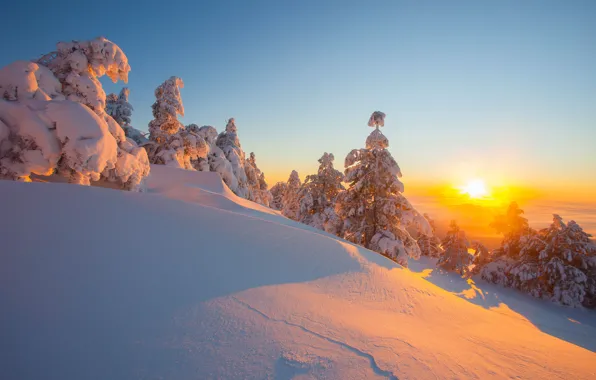 Winter, snow, trees, landscape, mountains, nature, ate, Crimea