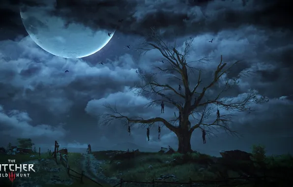 The sky, night, tree, the moon, The Witcher 3: Wild Hunt