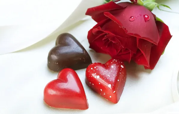Heart, rose, Valentine's day