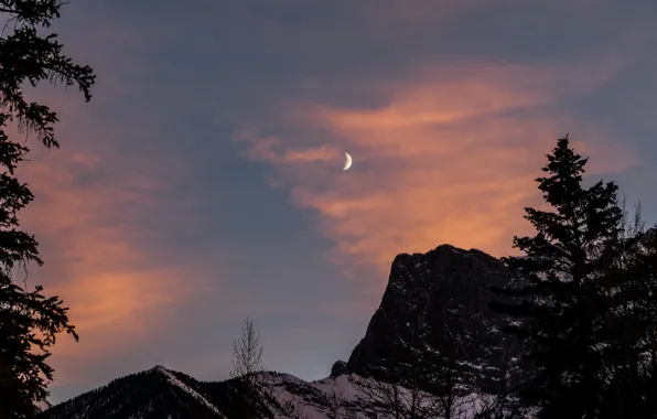 Picture winter, the sky, clouds, snow, trees, sunset, mountains, nature